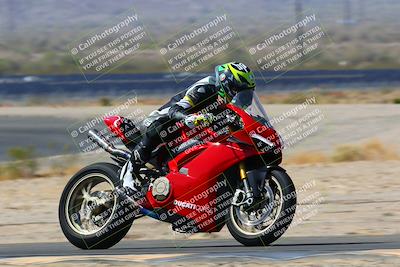 media/Apr-10-2022-SoCal Trackdays (Sun) [[f104b12566]]/Turn 14 (10am)/